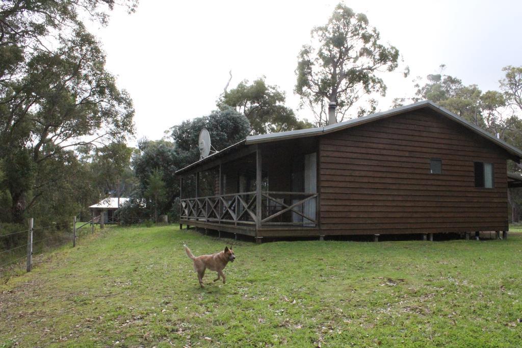 Che Sara Sara Chalets Walpole Zimmer foto